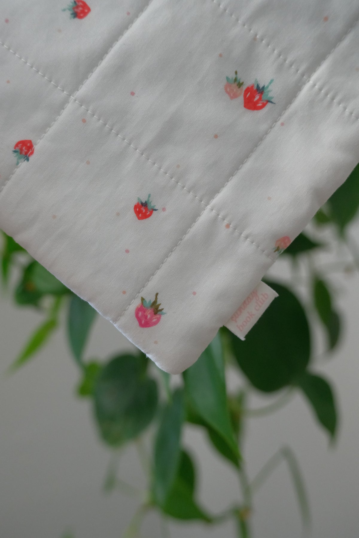 Strawberry Creme Annotation Zip